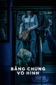 Görünmez Kanıt – Invisible Evidence izle 2020