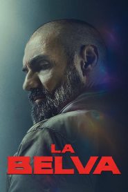 Bir Babanın Öfkesi izle