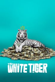 Beyaz Kaplan izle 2021 Netflix