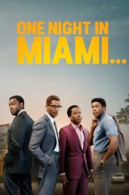 Miami’de Bir Gece izle