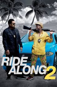 Zor Biraderler 2 izle