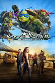 Ninja Kaplumbağalar Gölgelerin İçinden izle