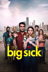 Büyük Hastalık – The Big Sick izle
