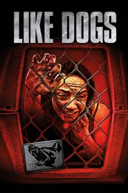 Like Dogs (2021) 4K izle