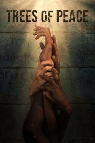 Trees of Peace 2021 4K izle