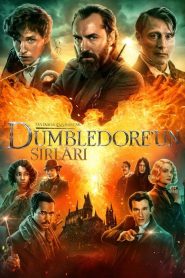 Fantastik Canavarlar 3: Dumbledore’un Sırları izle
