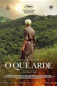 Fire Will Come – Yangın Yeri izle 4K