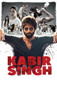 Kabir Singh izle