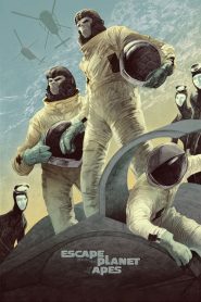 Maymunlar Cehenneminden Kaçış izle