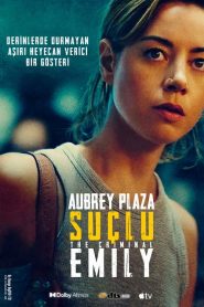 Emily the Criminal