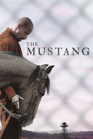 Yabani At – The Mustang