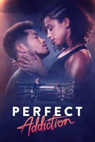Kusursuz Takıntı Perfect Addiction Türkçe Dublaj izle