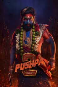 Pushpa: The Rule – Part 2 Türkçe Dublaj izle