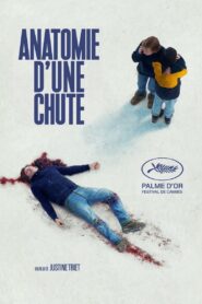 Bir Düşüşün Anatomisi Türkçe Dublaj izle