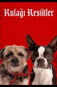 Kulağı Kesikler Strays Türkçe Dublaj izle