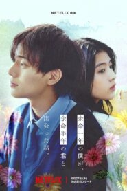 Son Resme Kadar Türkçe dublaj izle