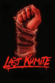 The Last Kumite türkçe dublaj izle