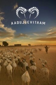 Aadujeevitham: Keçilerle Yaşam türkçe dublaj izle