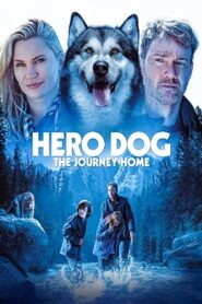 Doğaya Karşı: Eve Yolculuk Türkçe dublaj izle