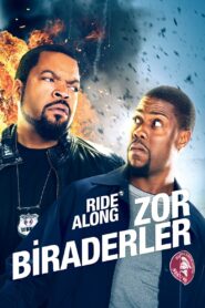 Zor Biraderler türkçe dublaj izle