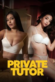 Private Tutor türkçe dublaj izle