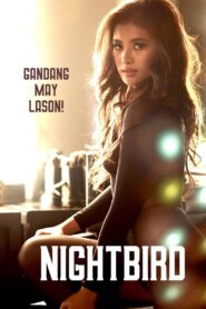 Nightbird türkçe dublaj izle