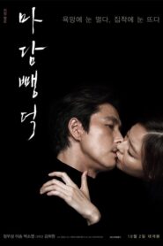Scarlet Innocence izle