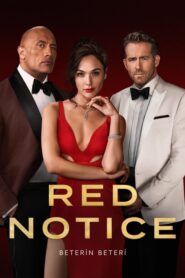 Red Notice Türkçe Dublaj izle