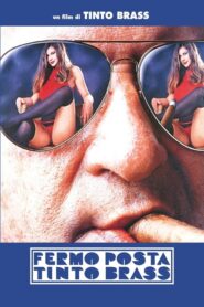 Posta Kutusu izle