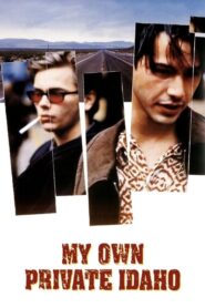 Benim Güzel Idaho’m izle