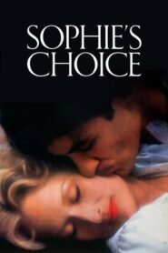 Sophie’nin Seçimi – Sophie’s Choice izle