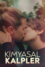 Chemical Hearts izle