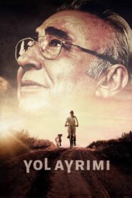 Yol Ayrımı 2017 izle