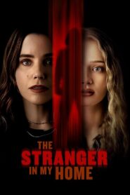 The Stranger in My Home 2025 Türkçe Dublaj izle