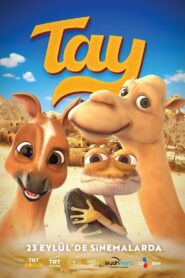 Tay Türkçe Dublaj izle