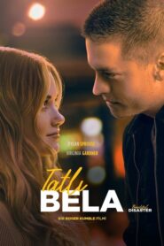 Tatlı Bela Beautiful Disaster Türkçe Dublaj izle