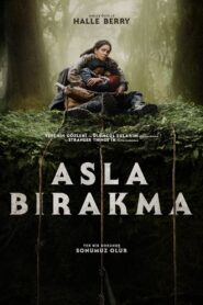 Asla Bırakma Türkçe dublaj izle