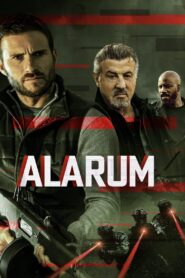 Alarum 2025 Türkçe Dublaj Full izle