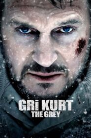Gri Kurt 2011 Türkçe Dublaj Full izle