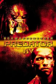 Av 1987 Türkçe Dublaj izle