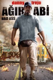 Ağır Abi 2012 Türkçe Dublaj izle
