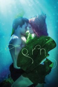 Torn 2022 Türkçe dublaj Full izle