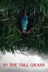 Uzun Otların Arasında 2019 Türkçe Dublaj izle