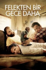 Felekten Bir Gece Daha Türkçe Dublaj izle