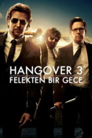 Hangover 3: Felekten Bir Gece Türkçe dublaj izle