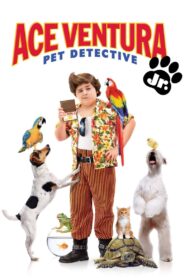 Budala Dedektif 3 Türkçe dublaj izle